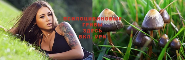 не бодяженный Абаза