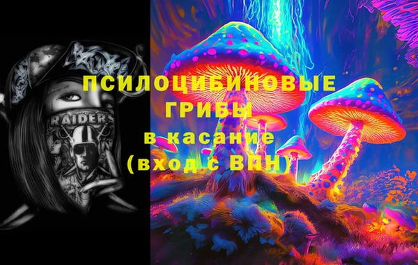 не бодяженный Абаза