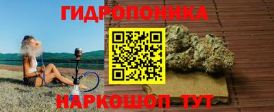 шишки Моздок