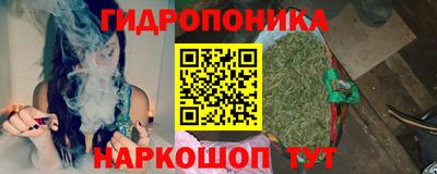 шишки Моздок