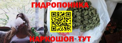 дурь Можга
