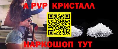 шишки Моздок