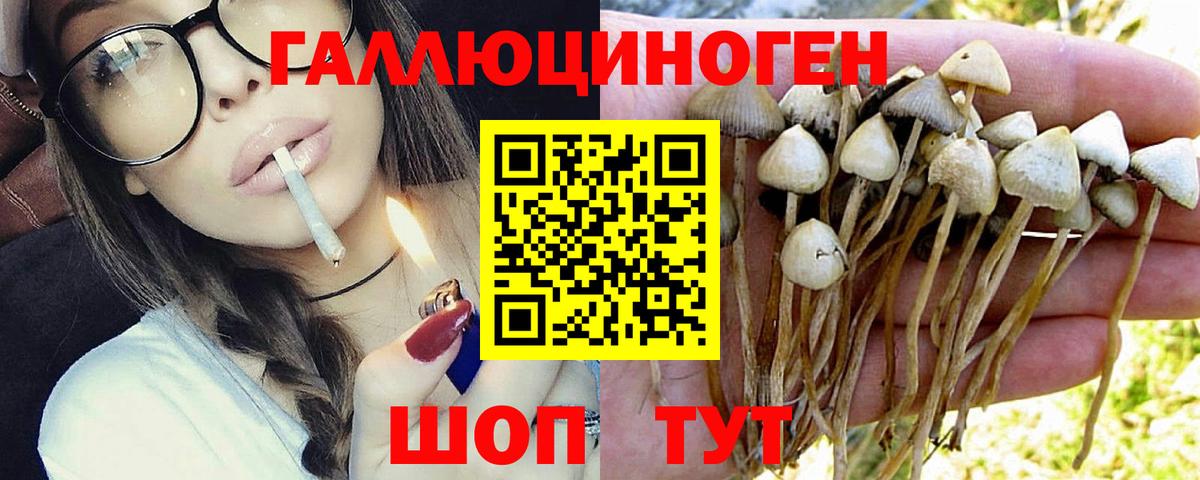 Галлюциногенные грибы Cubensis Екатеринбург